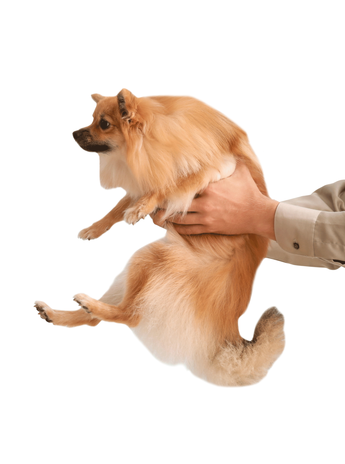 Lake ENT Ear Nose Throat Sinus Allergy Audiology