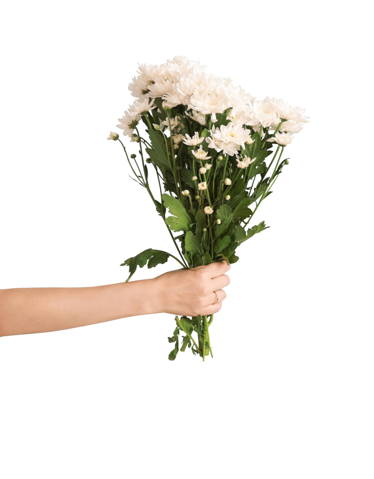 Lake ENT Ear Nose Throat Sinus Allergy Audiology